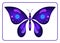 Butterfly beauty colorful sign neon 1