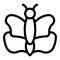 Butterfly biology icon outline vector. Cocoon cycle life