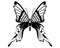 Butterfly Black & White silhouette design