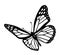 Butterfly black and white tribal tattoo cut out silhouette