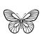 Butterfly Black And White Vector