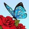 Butterfly with blue spotted wings on flowers of red roses on a blue sky background, vector banner, card, poster, flyer