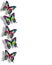 Butterfly Border 3D Rainbow colors