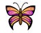 Butterfly. Bright and contrasting vector butterfly in pink, orange and purple colors. Bright, elegant summer insect - a moth. Beau