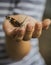 Butterfly on the child`s hand