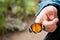 Butterfly on child\'s hand