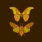 Butterfly cicadas sketch, yellow orange mustard olive green contour on dark brown background. simple art. Can be used for Gift