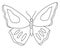 Butterfly clipart. Outline doodle vector illustration. Coloring book for children