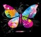 Butterfly from color splashes and line brushes