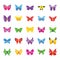 Butterfly Common Species Flat Icons