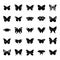 Butterfly Complete Species Glyph Icons