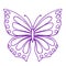 Butterfly contour vector drawing. Insect butterfly coloring book.