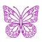 Butterfly contour vector drawing. Insect butterfly coloring book.