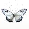 butterfly, delicately isolated on a pristine white background.