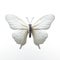 butterfly, delicately isolated on a pristine white background.