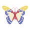 Butterfly design for clothing. isolated insect vector decoration