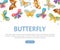 Butterfly Design with Fluttering Insect with Brightly Coloured Wings Vector Template