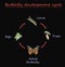 Butterfly development round cycle isolated on black background. Eggs, larva, pupa and adult butterfly in born progress. education