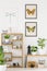 Butterfly and dragonfly posters mock-up on a white wall and wooden shelves with cute plants and decorations in a natural work spa