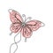 butterfly drawing pictures