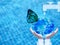 Butterfly drinking water from blue globe on hand. Saving water concept