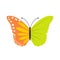Butterfly ecology flat icon