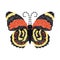 Butterfly embroidery design for clothing. isolated insect vector