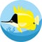 Butterfly fish