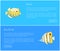 Butterfly Fish and Boxfish Set Vector Illustration