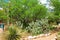 Butterfly Garden on La Posta Quemada Ranch in Colossal Cave Mountain Park