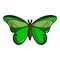 Butterfly great mormon icon, cartoon style