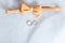 Butterfly groom tie on a white background