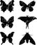 Butterfly grunge set 15