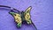 Butterfly hair pin clip accessories