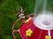 Butterfly on a Hummingbird Feeder