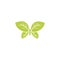 Butterfly illustration of unique green leaf tea design vector