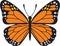 Butterfly insect color vector