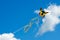 Butterfly kite in a blue sky