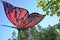 a butterfly lantern illuminates the park