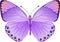 Butterfly lilac fantasy