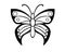 Butterfly. Linear vector butterfly detailed. A beautiful, elegant summer insect is a moth. Beautiful vector butterfly pattern for