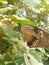 Butterfly living life spectacularly on a sunny day