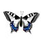 Butterfly machaon on white background with shadow, gradient, 3d