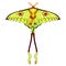 Butterfly Madagascar comet moth moon. vector illustration