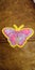 A butterfly magnet I colored to sell to make money