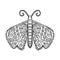 Butterfly moth black hand-drawn contour. Delicate coloring book design for adults and teenagers with small patterns. Antistress