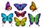 Butterfly or moth butterfly set, vector icons