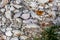 Butterfly over rocks background