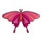 Butterfly papilio demoleus icon, cartoon style