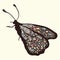 Butterfly with patterns. Wings with multicolored oriental ornaments in style boho